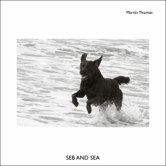 6_MT_6_Seb-and-Sea